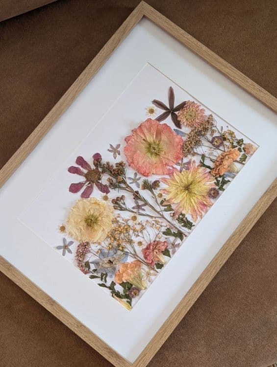Herbier Champ de fleurs