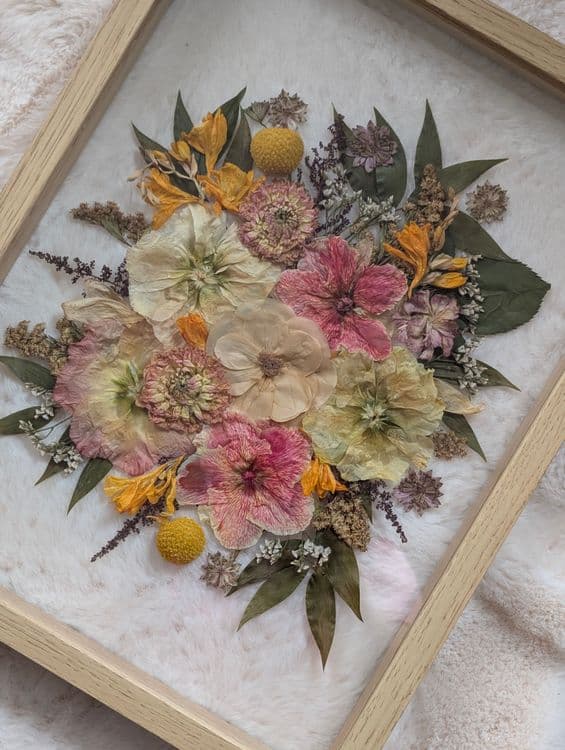 Herbier Reproduction du bouquet en fleurs pressées