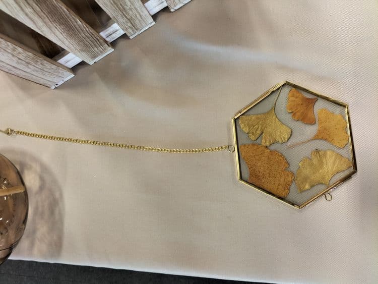 Ginkgo